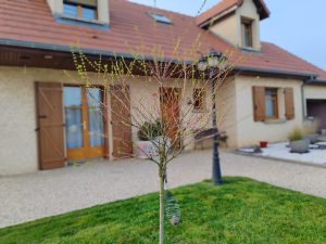 volet battant composite - volet composite - volet battant - volet haute marne